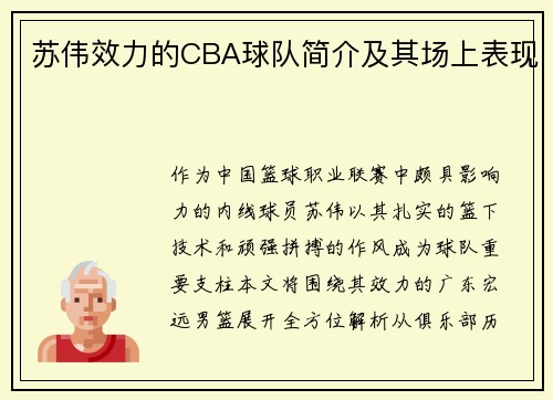 苏伟效力的CBA球队简介及其场上表现